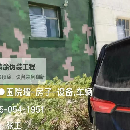驻马店数码迷彩漆施工